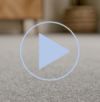 Pall Mall carpet video